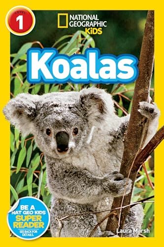 Koala: A Natural History and an Uncertain Future: Clode, Danielle